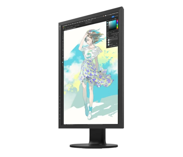 Eizo ColorEdge CS2400R ColorNavigator - 1166519 - zdjęcie 2